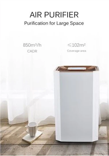 দক্ষ বিশুদ্ধকরণ এয়ার পিউরিফায়ার