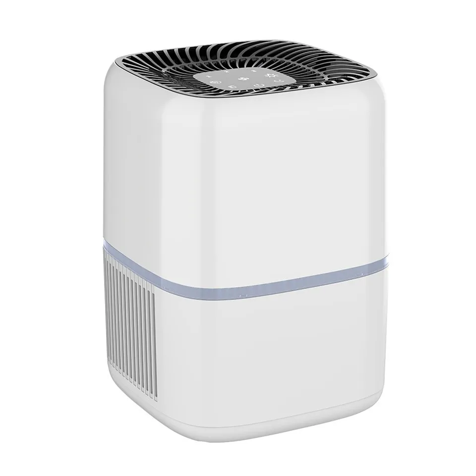 BKJ-15C Air Purifier With Lamp